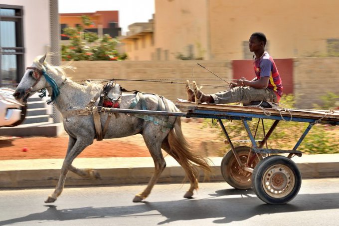 Transports en tous genres Dakar -Sénégal. Pascal Tabary Mai 2017