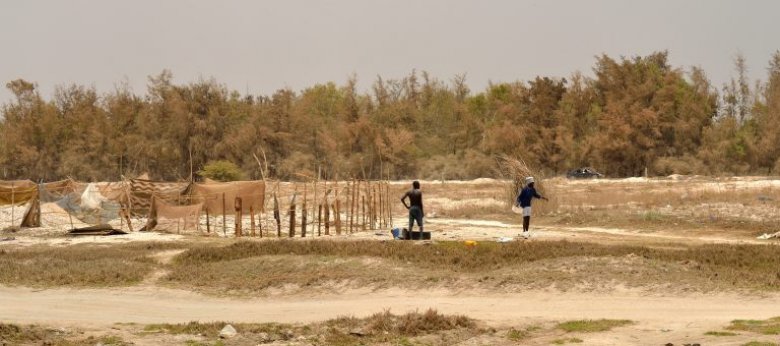 Bande des Filaos. Côte sénégalaise — Pascal Tabary Mai 2017