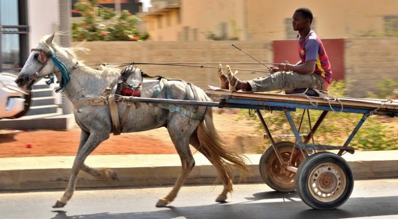 Transports en tous genres Dakar -Sénégal. Pascal Tabary Mai 2017
