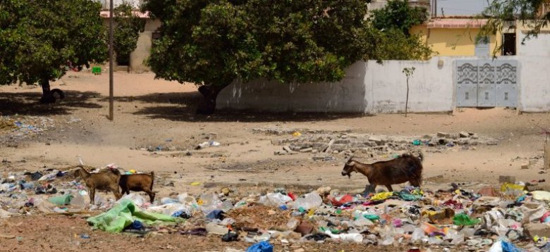 Village de Niaga Ouolof - Sénégal. Pascal Tabary Mai 2017